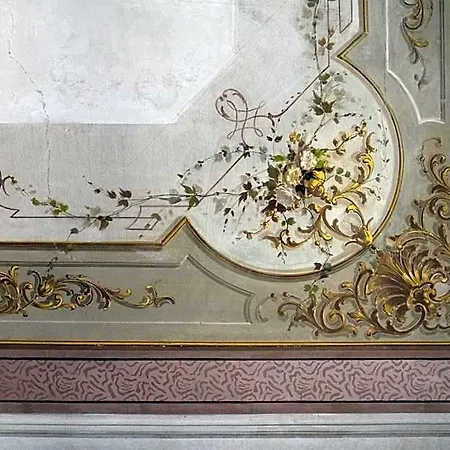 Moro Lin Design