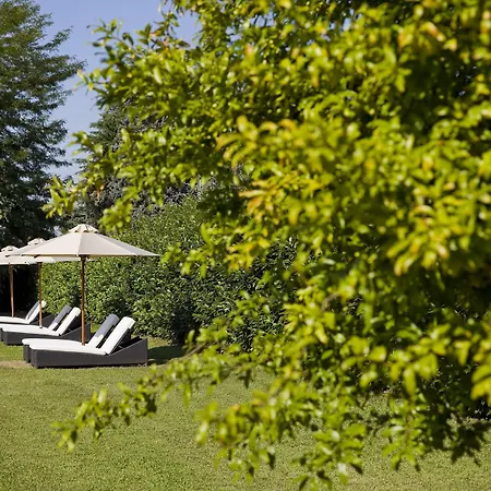 Moro Lin Design Mestre